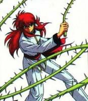 Biciul Trandafir - Momoko - Kurama